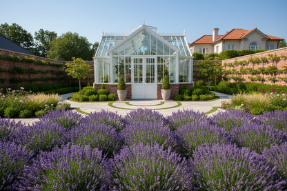 Lavender 'SuperBlue'