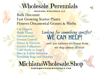 Perennial Gift Cards