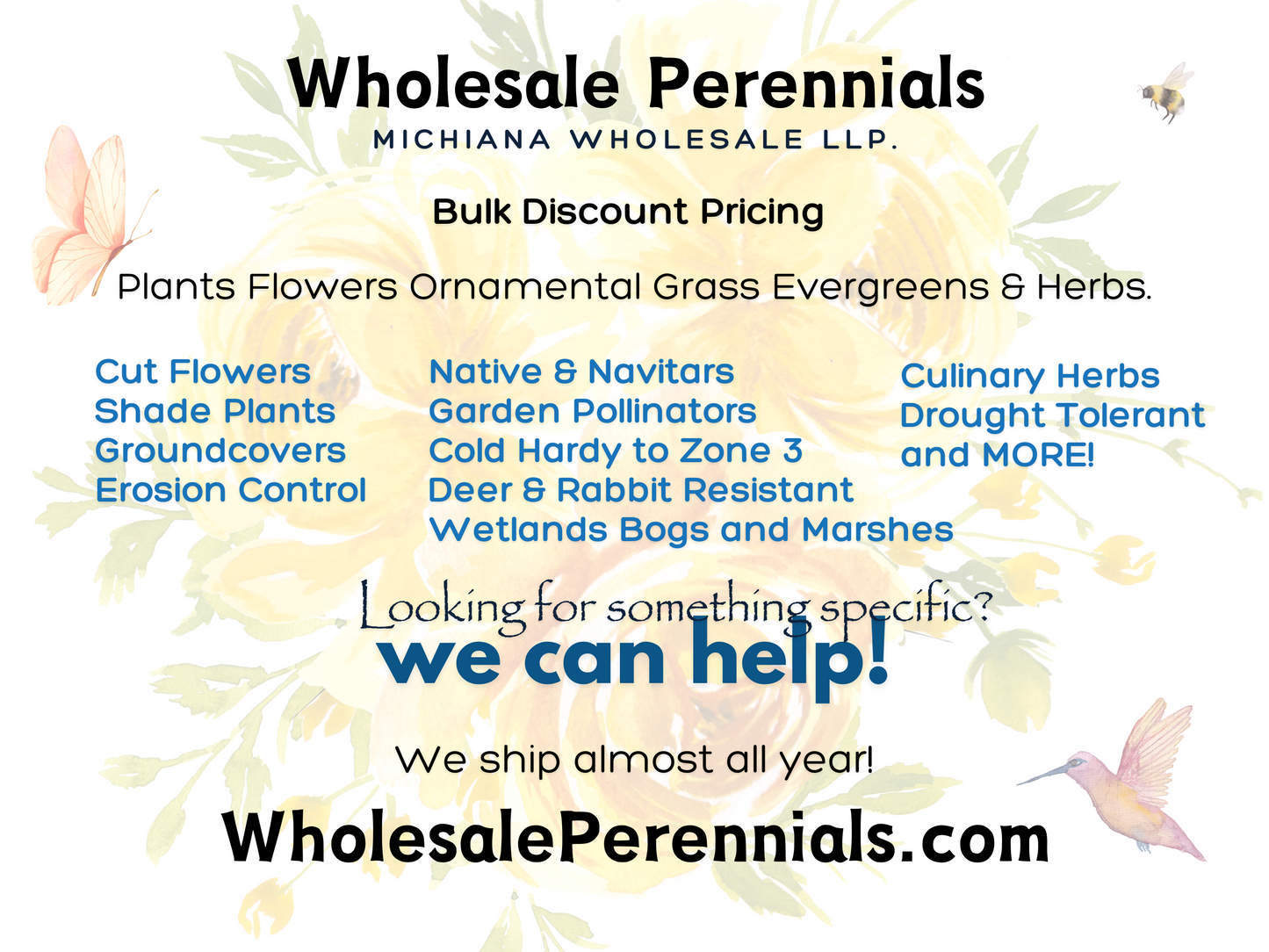 Monarda'Marshall's Delight'